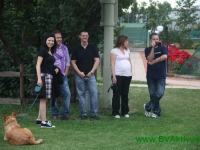 beachvolley190609-210
