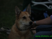 beachvolley190609-214